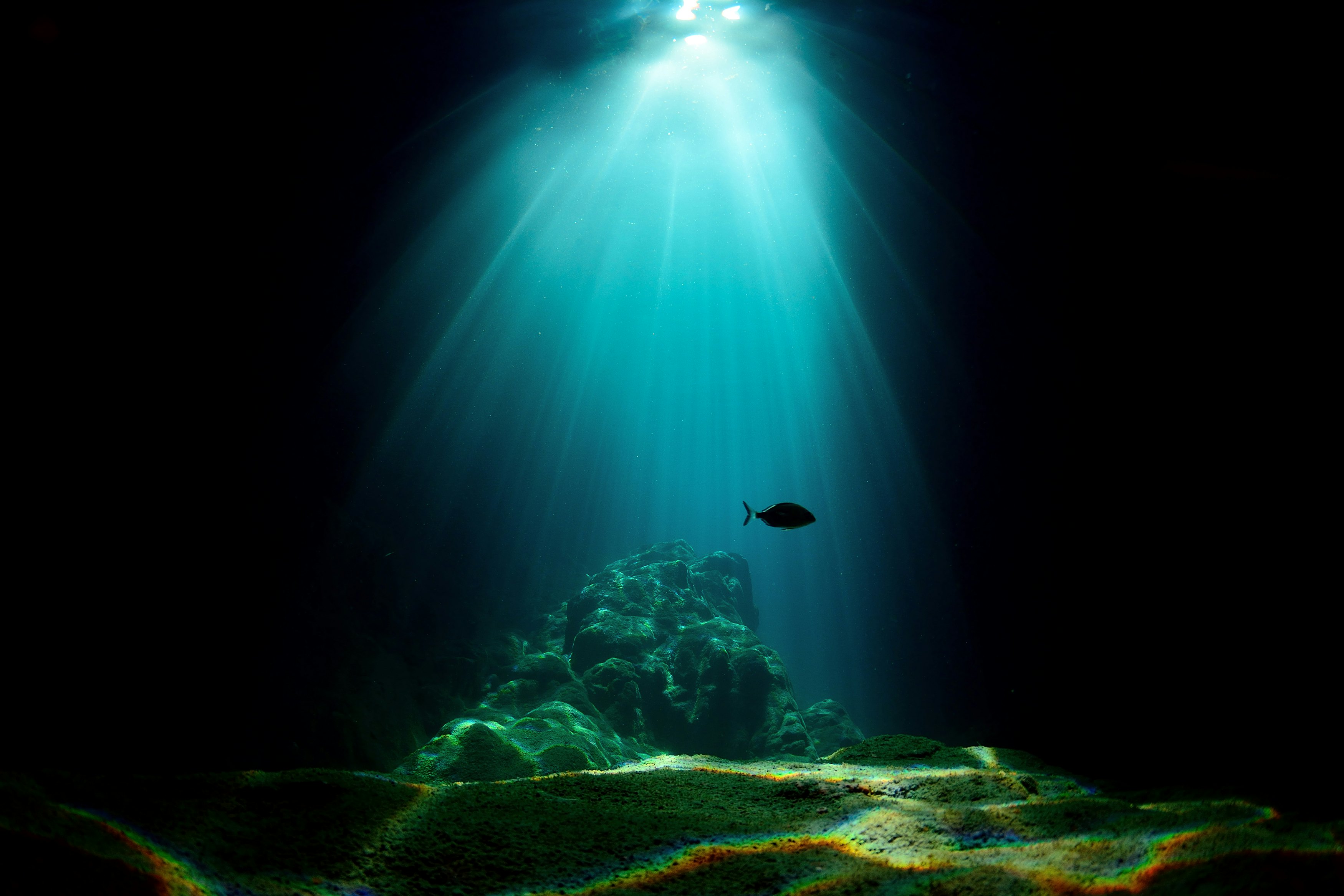 Windsor Cave