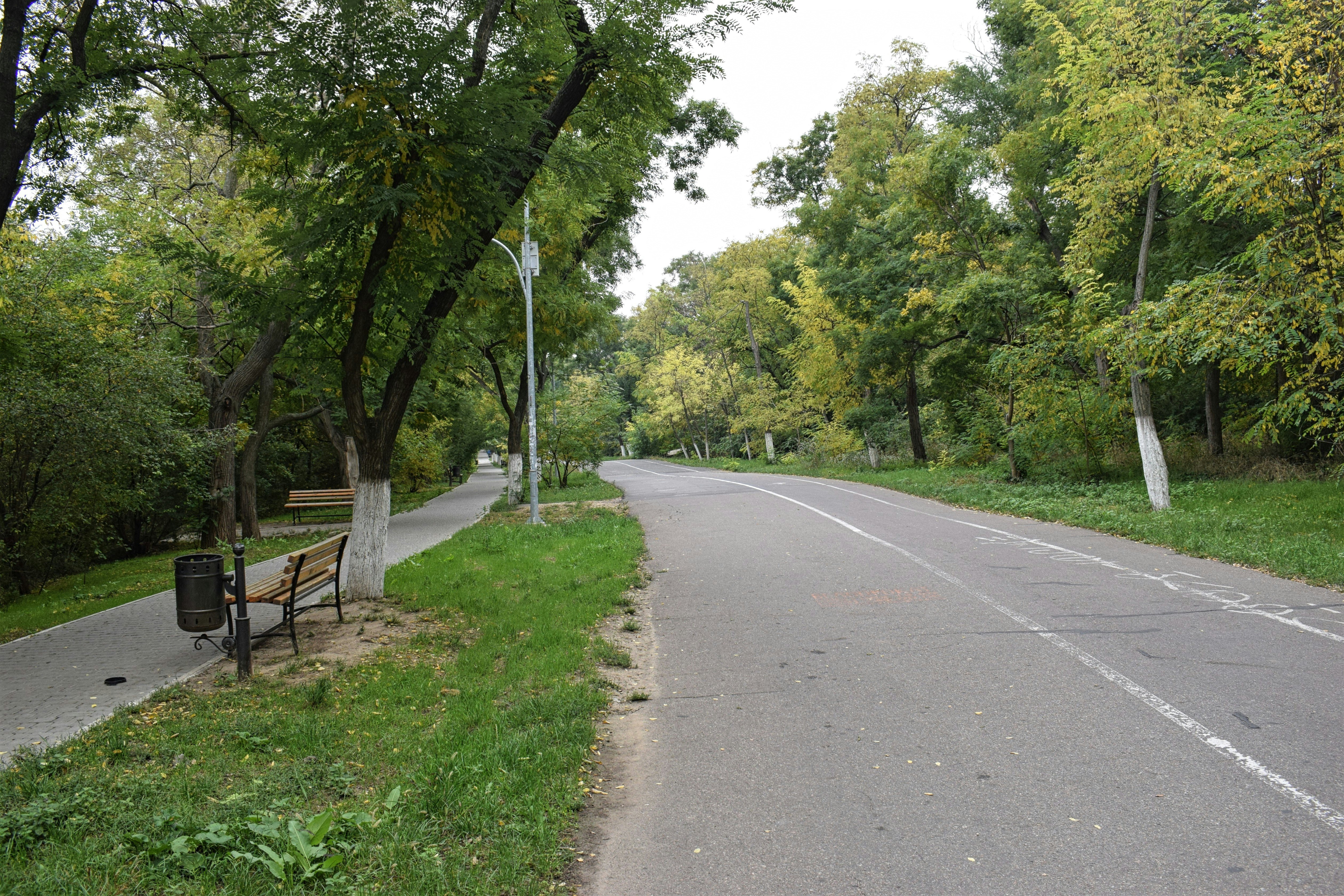 Image of Route of Health