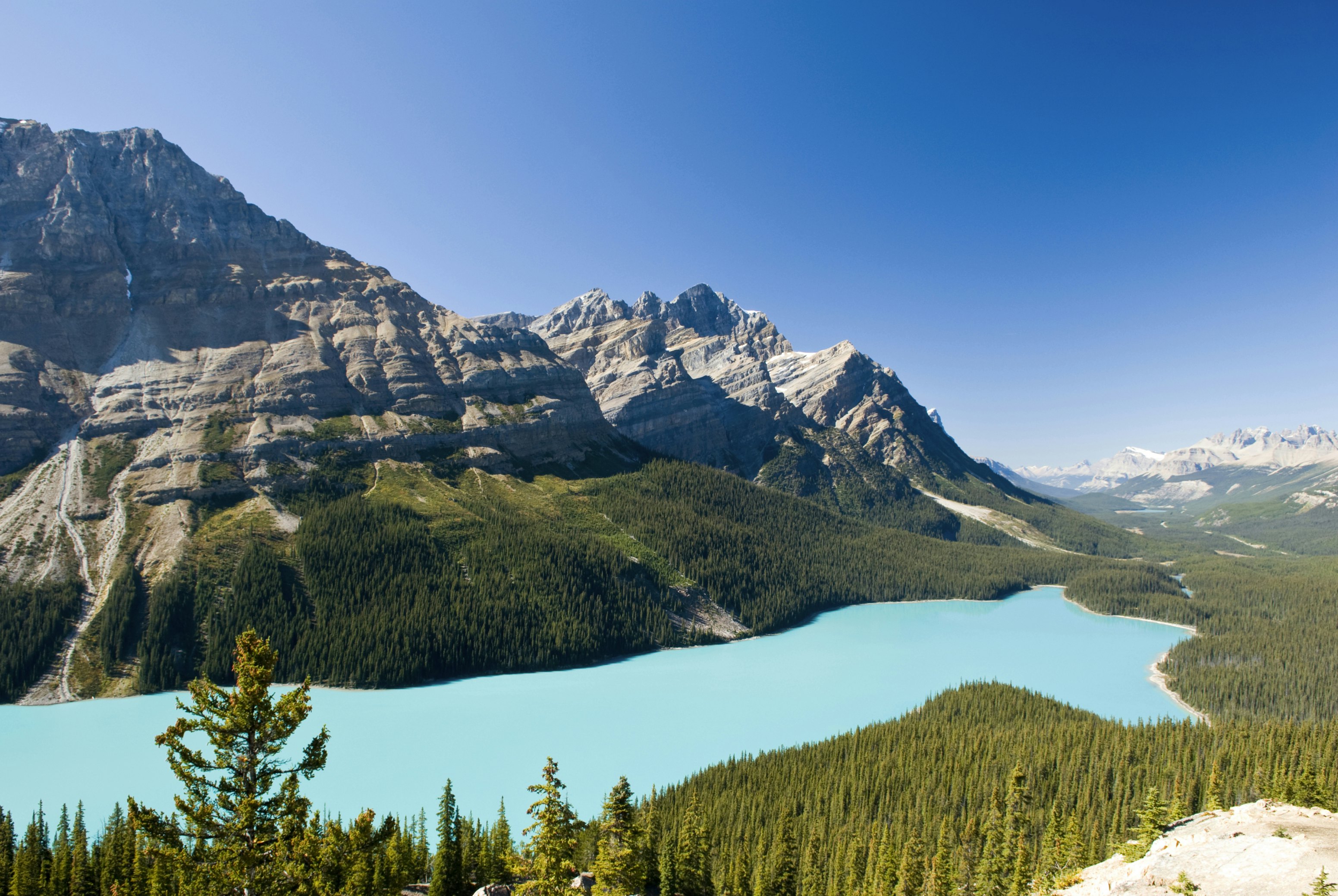 Peyto Lake, Banff National Park, Alberta, Canada.