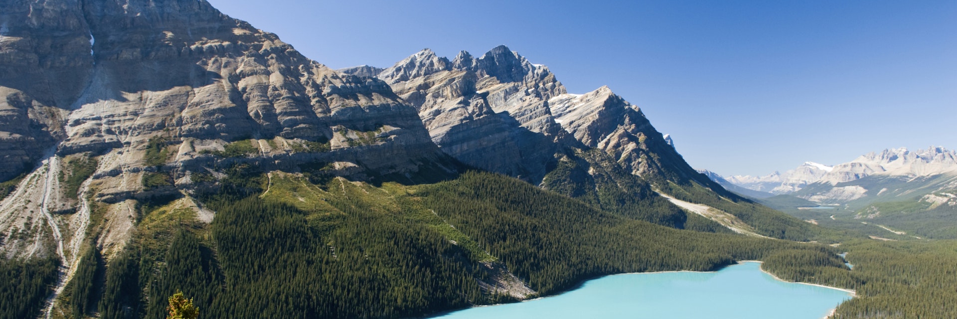 Peyto Lake, Banff National Park, Alberta, Canada.