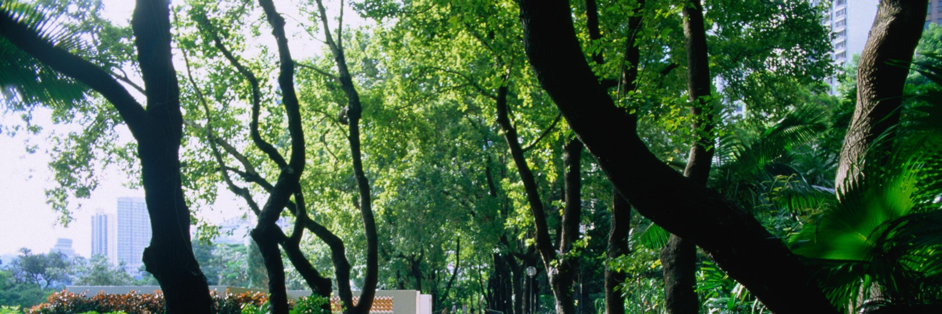 Pedestrians stroll along a pathway at Hong Kong' s Zoological and Botanical Gardens, which include fountains, sculptures, greenhouses, aviaries, a zoo and a playground