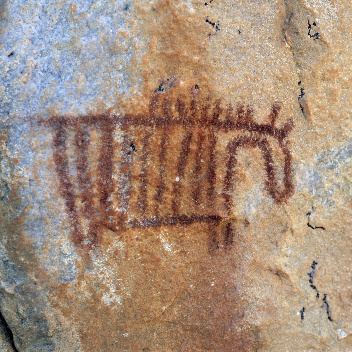 Rock art, zebra on a small outcrop, now used as the logo of Botswana's National Museums and Monuments, Tsodilo Hills, UNESCO World Heritage Site, Ngamiland, Botswana, Africa