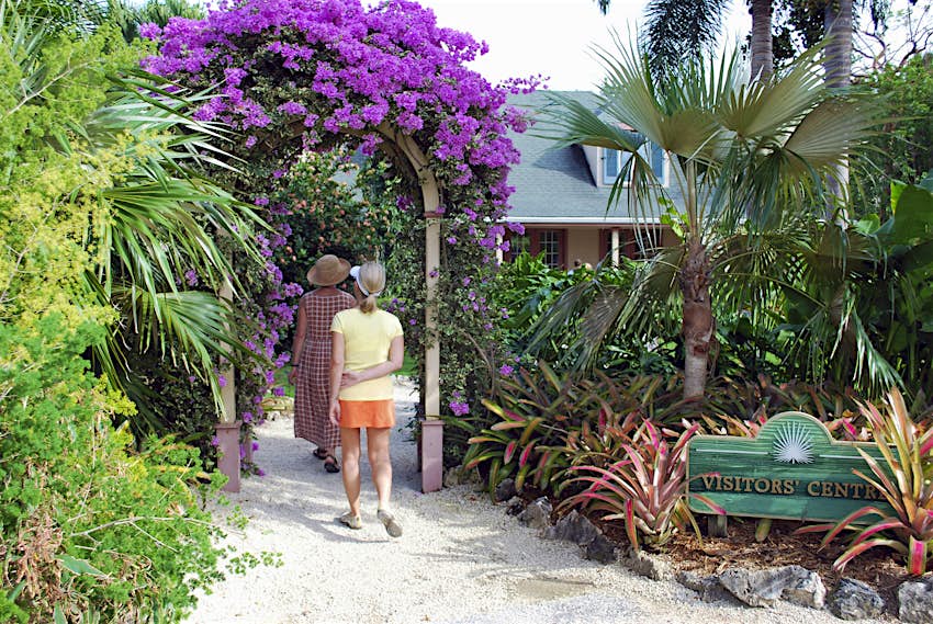 Two visitors enter Queen Elizabeth II Botanic Park in Grand Cayman through a pergola dripping with purple bougainvillea 