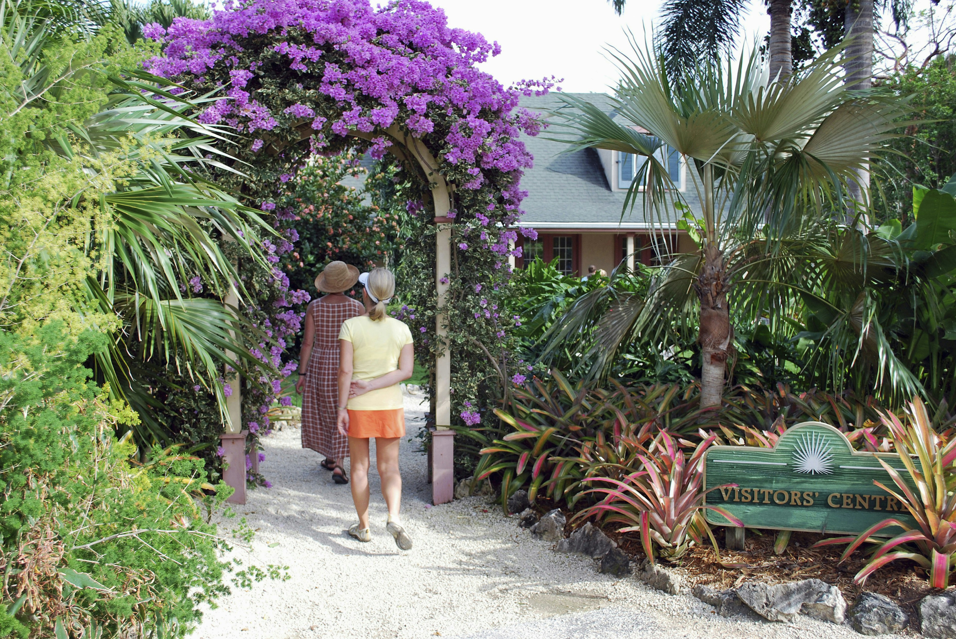 Two visitors enter a botanic garden through a pergola dripping with purple bougainvillea