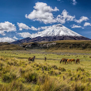 Parque Nacional Cotopaxi