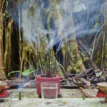 Offerings before the Datuk Kong tree at the Tropical Spice Garden, Penang, Malaysia