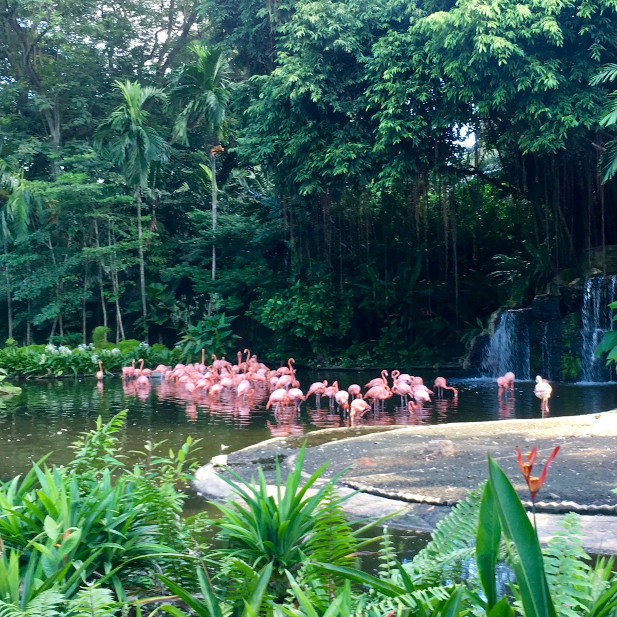 most famous tourist attraction in singapore