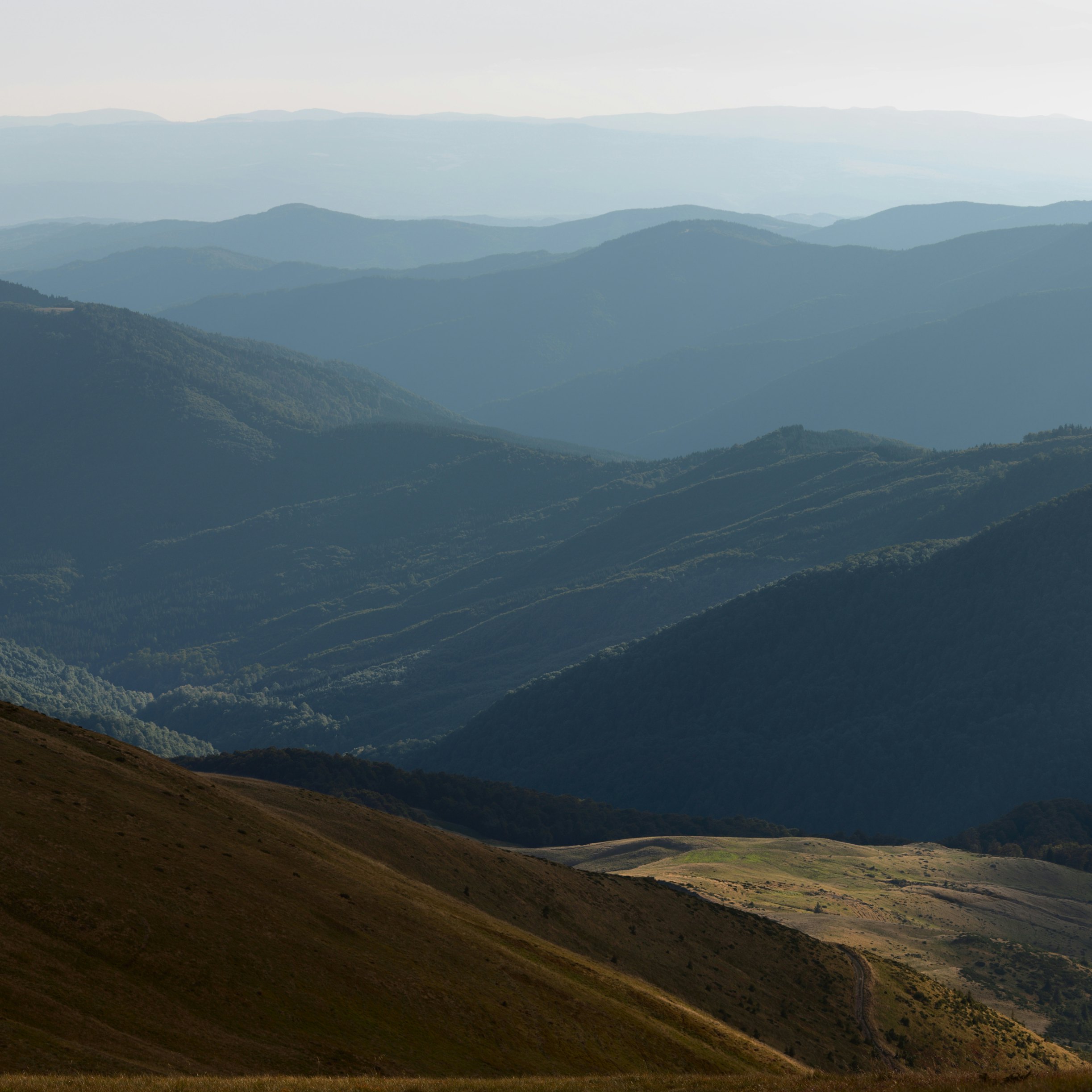 The last evening sunbeam