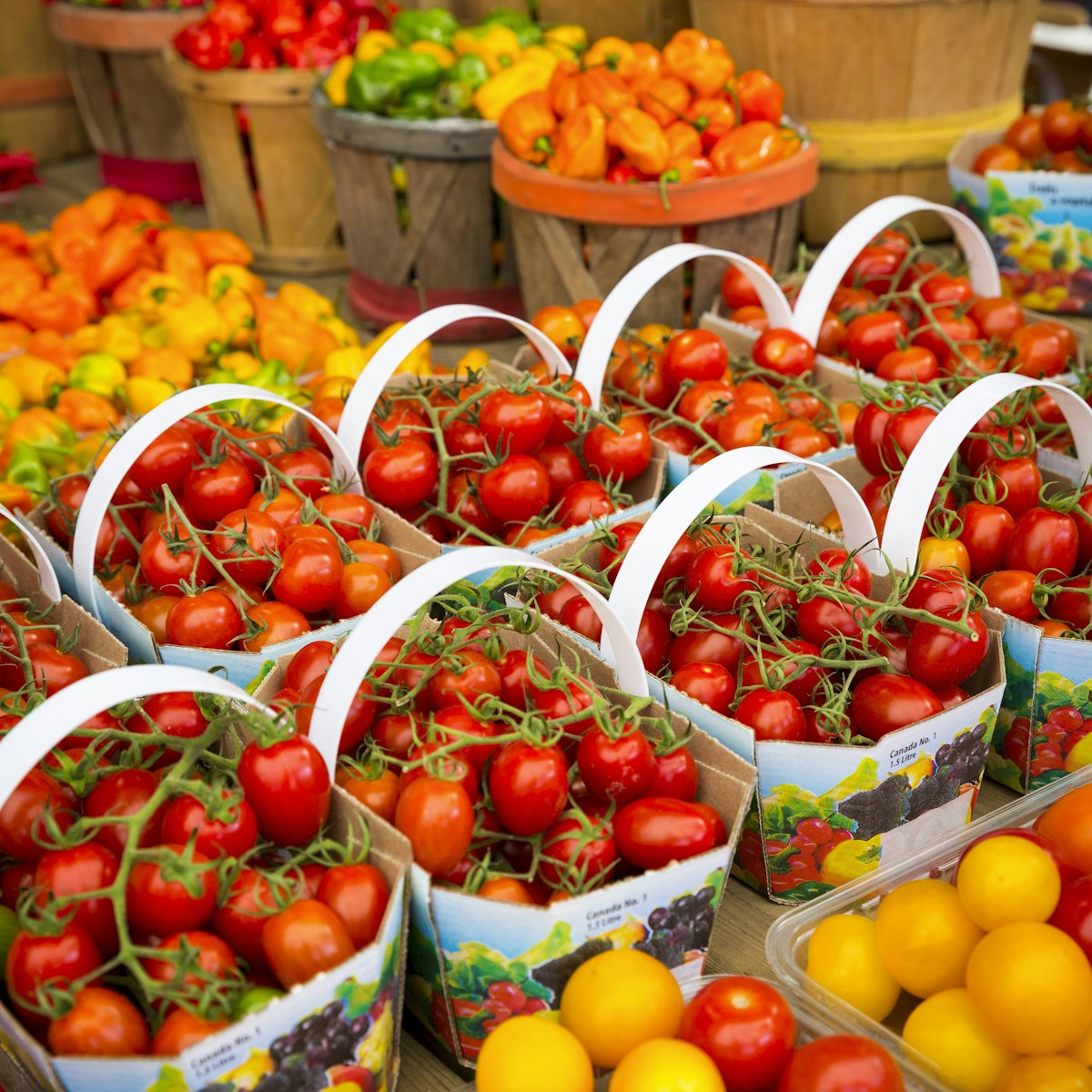 Tomatoes at stall at Marche Jean-Talon market.
