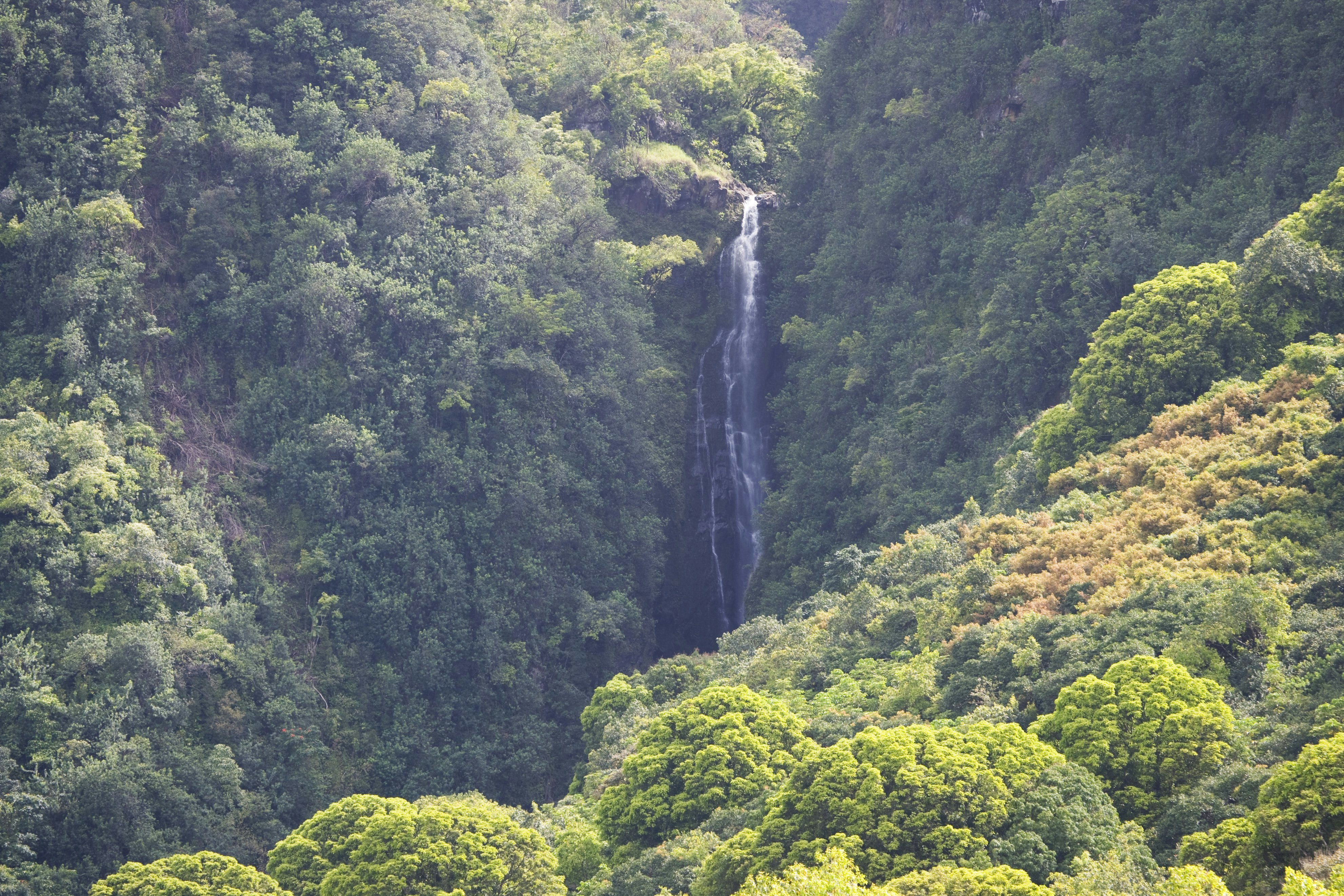 Waikani Falls, Road to Hana, East Maui.