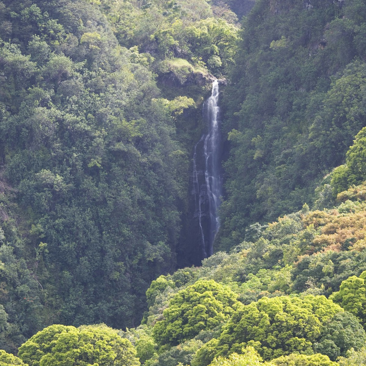 Waikani Falls, Road to Hana, East Maui.