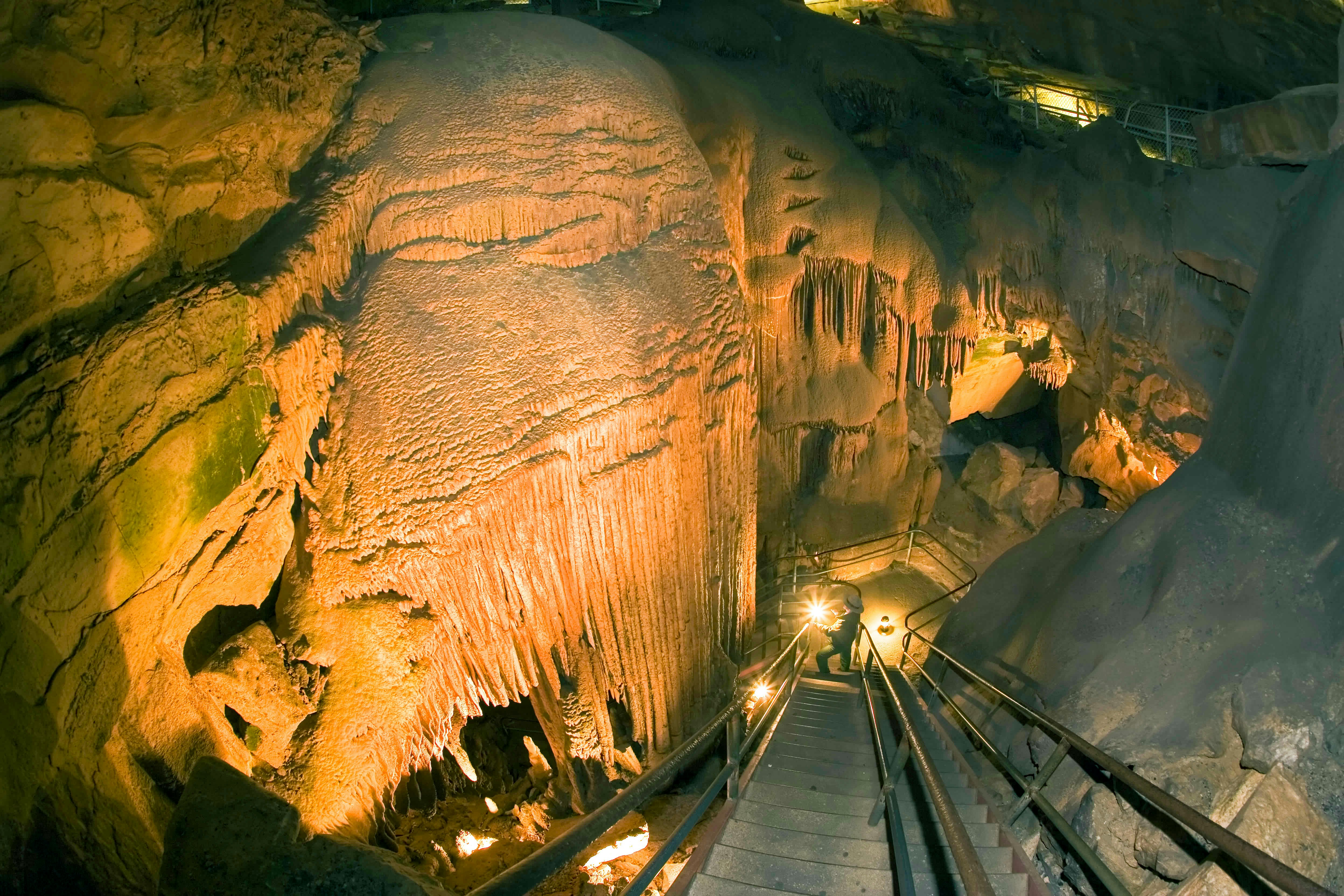Mammoth Cave National Park