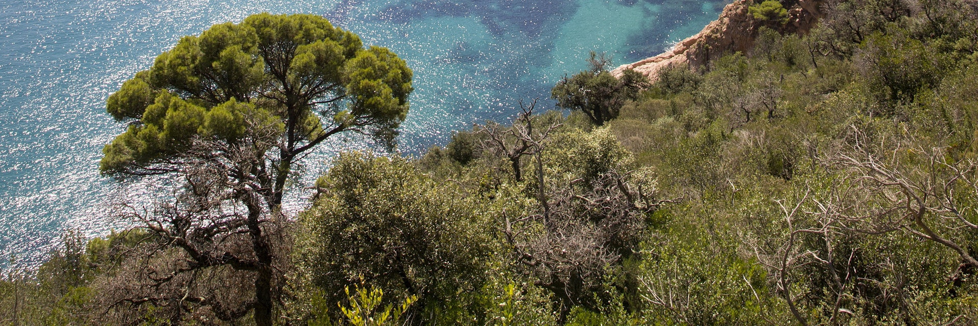 Overview of secluded cove in Aigua Blava Bay.