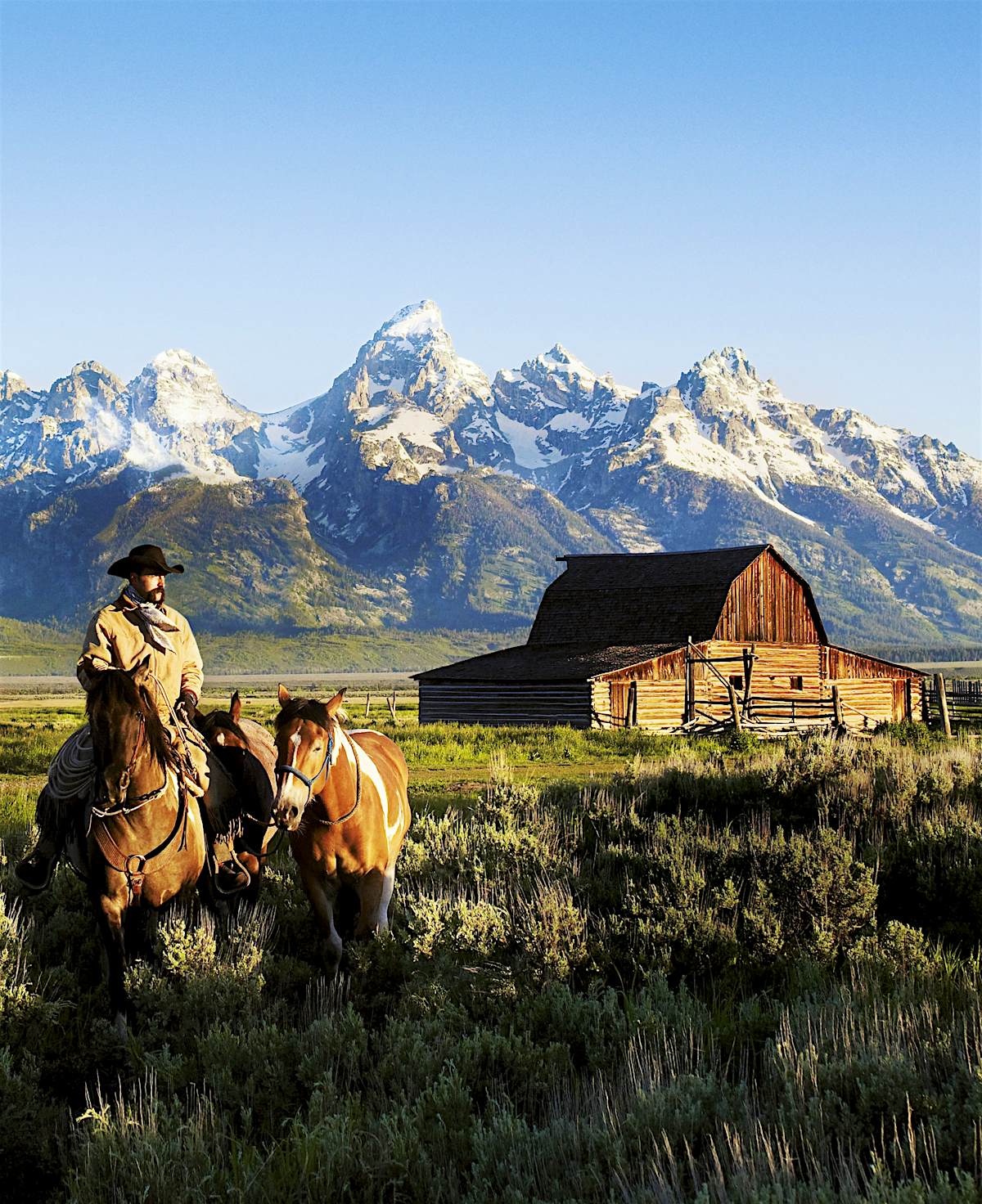 Yellowstone And Grand Teton National Parks Travel Wyoming Usa North