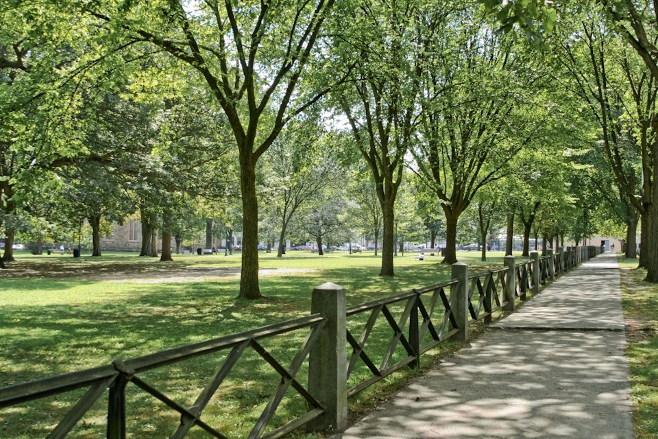 A 16 acre park in New Haven, CT, used for many public events and bordered by Yale University.
