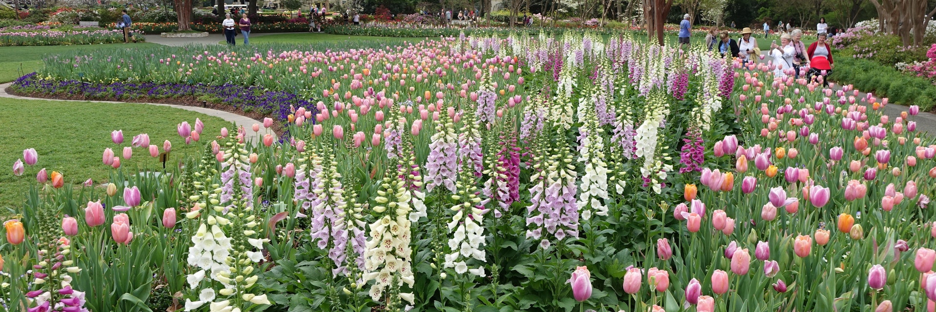 DALLAS, March 23, 2017 -- People visit the flower show "Dallas Blooms: Flower Power" at the Dallas Arboretum and Botanical Garden in Dallas, the United States, March 22, 2017. The flower show was held from Feb. 25 to April 9 under the theme "Peace, love and flower power". (Xinhua/Zhang Yongxing via Getty Images)