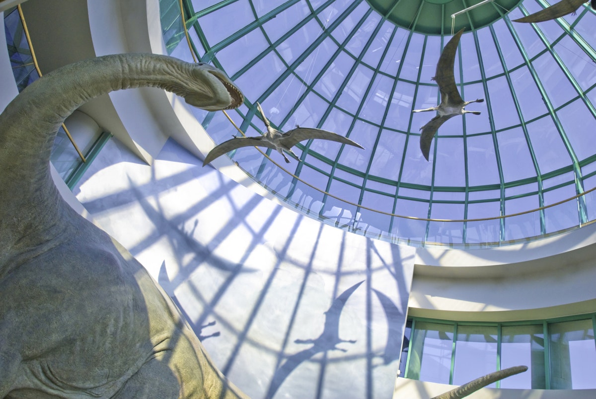 North Carolina Museum of Natural Sciences building's glass dome houses "Terror of the South" exhibit shows a gigantic Pleurocoelus  circled by winged Pterosaurs- (a state museum with no fees is the most visited attraction in the state) - Raleigh, North Carolina