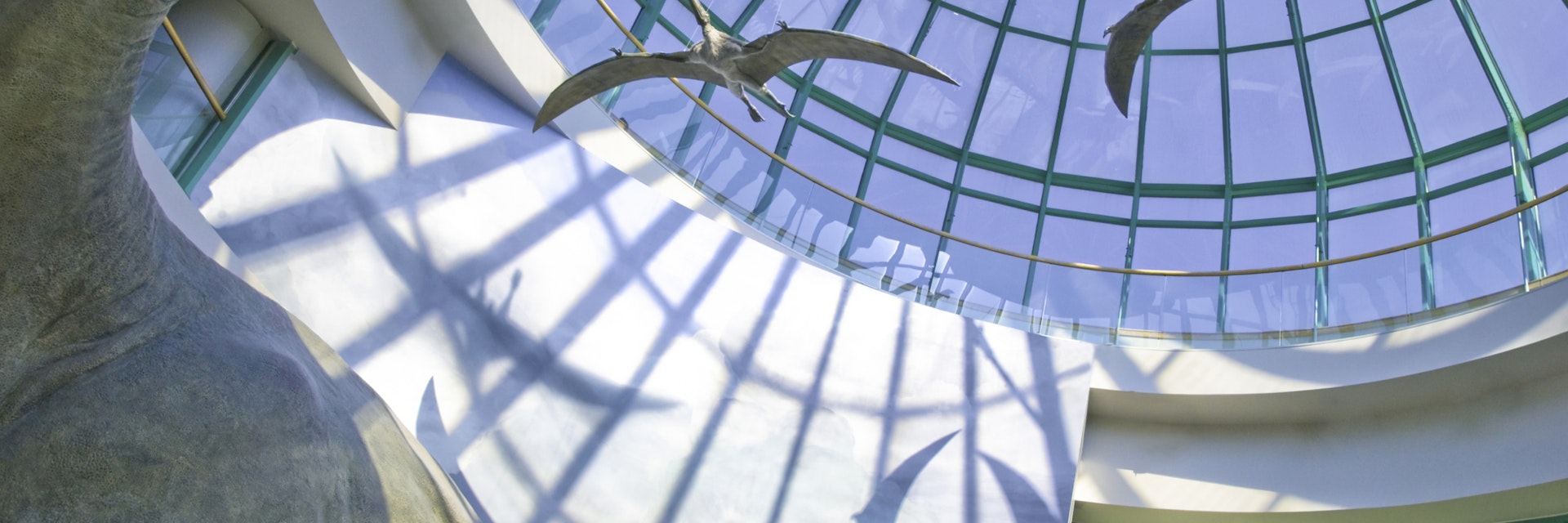 North Carolina Museum of Natural Sciences building's glass dome houses "Terror of the South" exhibit shows a gigantic Pleurocoelus  circled by winged Pterosaurs- (a state museum with no fees is the most visited attraction in the state) - Raleigh, North Carolina
