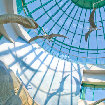 North Carolina Museum of Natural Sciences building's glass dome houses "Terror of the South" exhibit shows a gigantic Pleurocoelus circled by winged Pterosaurs- (a state museum with no fees is the most visited attraction in the state) - Raleigh, North Carolina