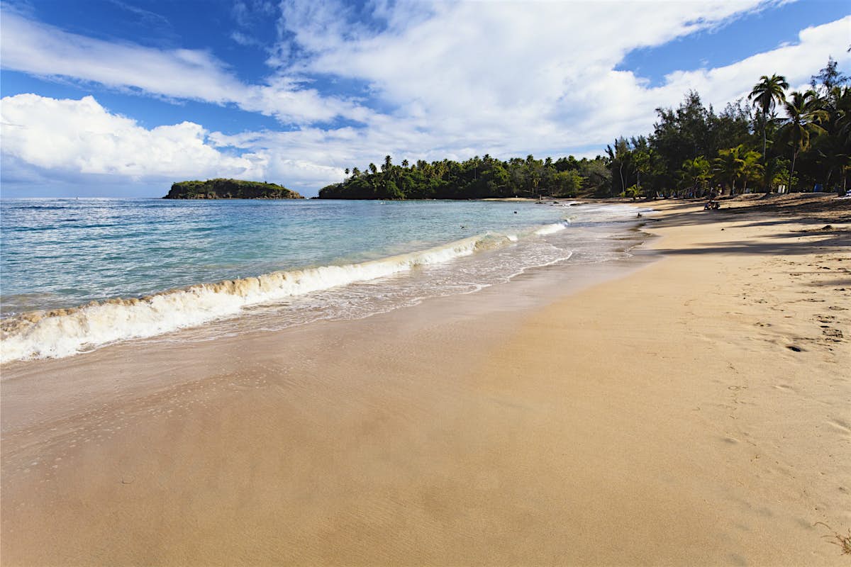 Top things to do in Dorado, Puerto Rico - Lonely Planet