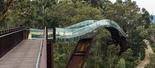 Kings Park Botanic Garden Perth Australia Attractions Lonely Planet