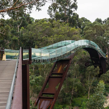 Kings Park Bridge