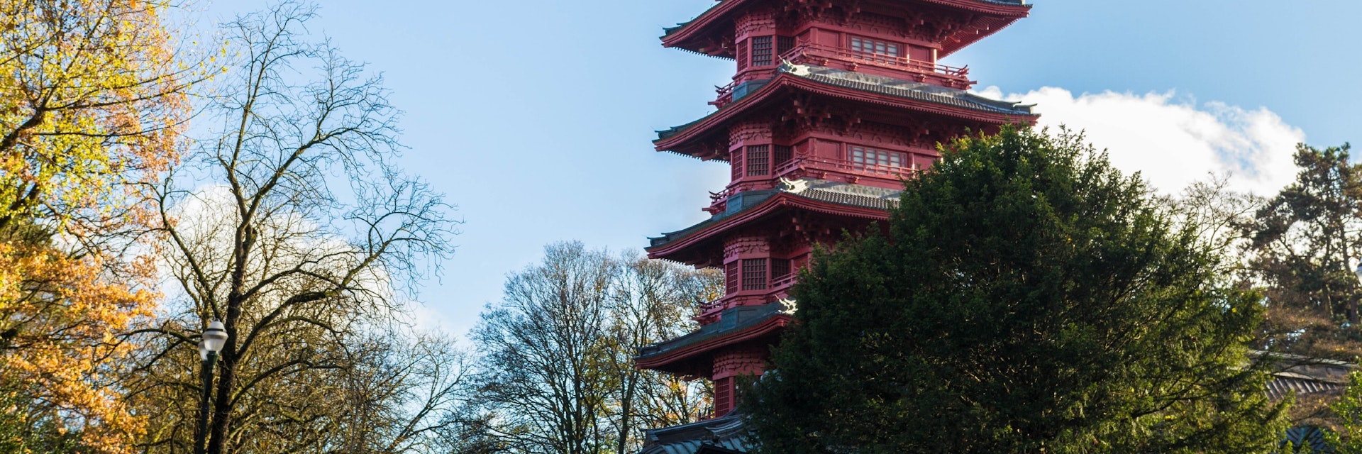 Tour Japonaise