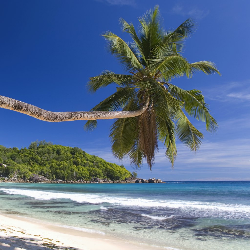Palm-fringed Anse Takamaka, Mahe, Seychelles