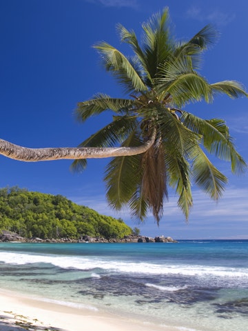 Palm-fringed Anse Takamaka, Mahe, Seychelles