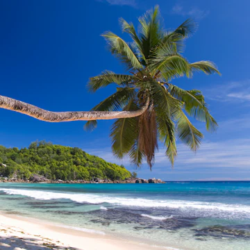 Palm-fringed Anse Takamaka, Mahe, Seychelles