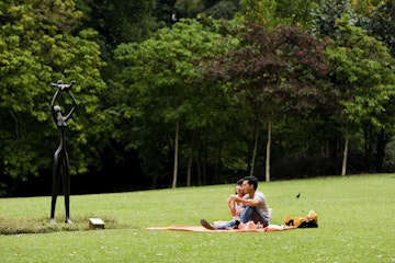 Couple relaxing on grass at the Botanic Garden.