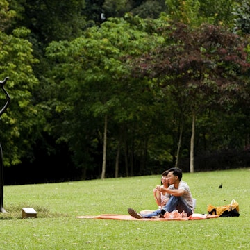 Couple relaxing on grass at the Botanic Garden.