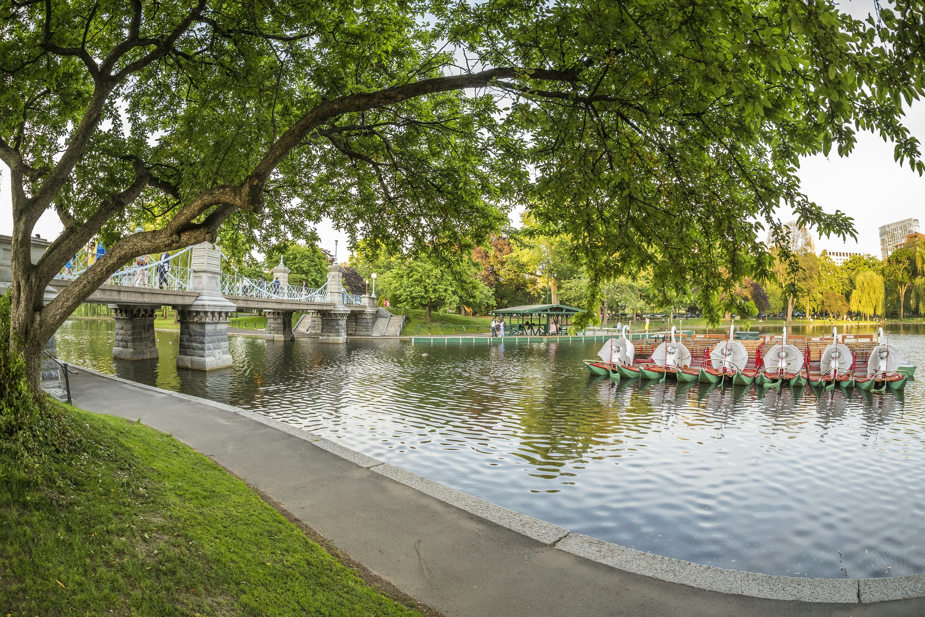 Panoramic view of the Boston Public Garden in Massachusetts, USA on a nice sunny day.