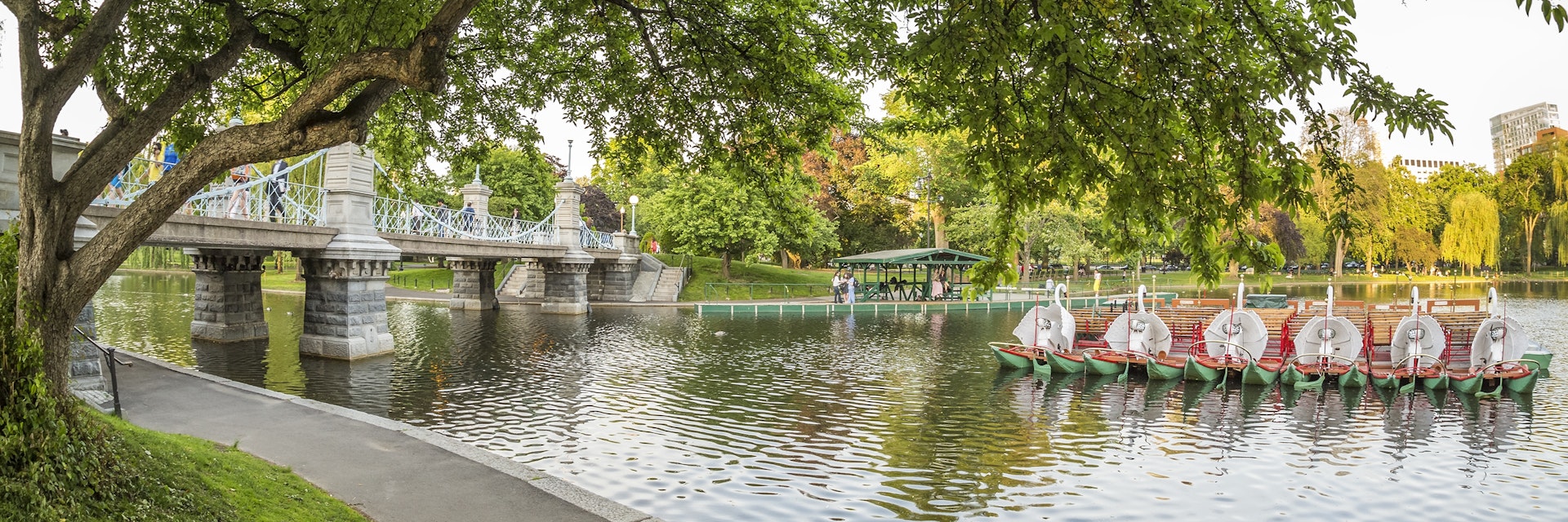 Panoramic view of the Boston Public Garden in Massachusetts, USA on a nice sunny day.