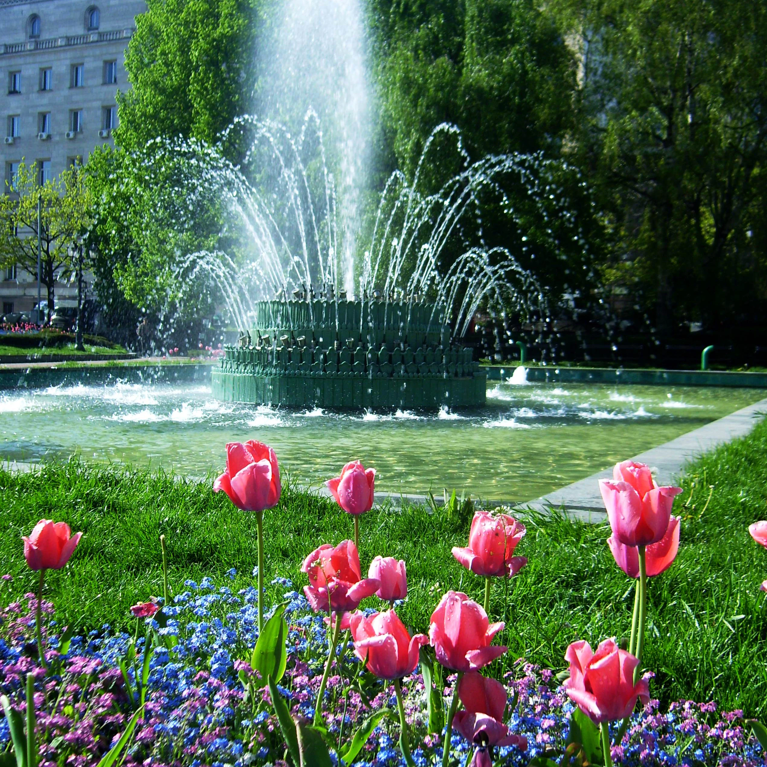 500px Photo ID: 107675873 -