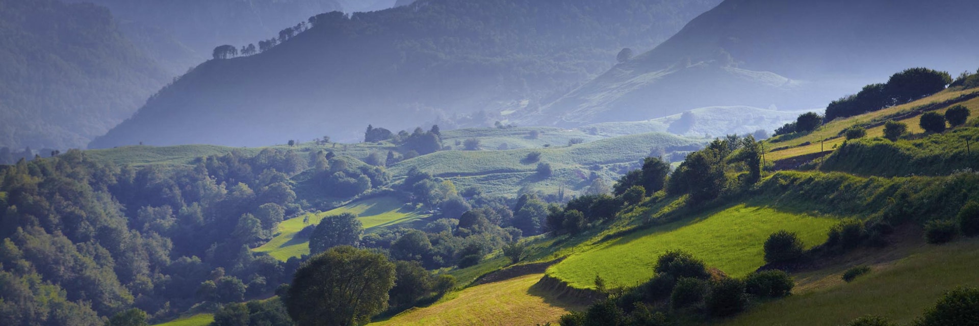 Overview of stepped farmland and Pinnacle of Pic du Jer.