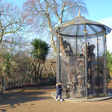 The Elfin Oak is an 900 year old oak tree stump covered with fairytale figurines in Kensington Gardens