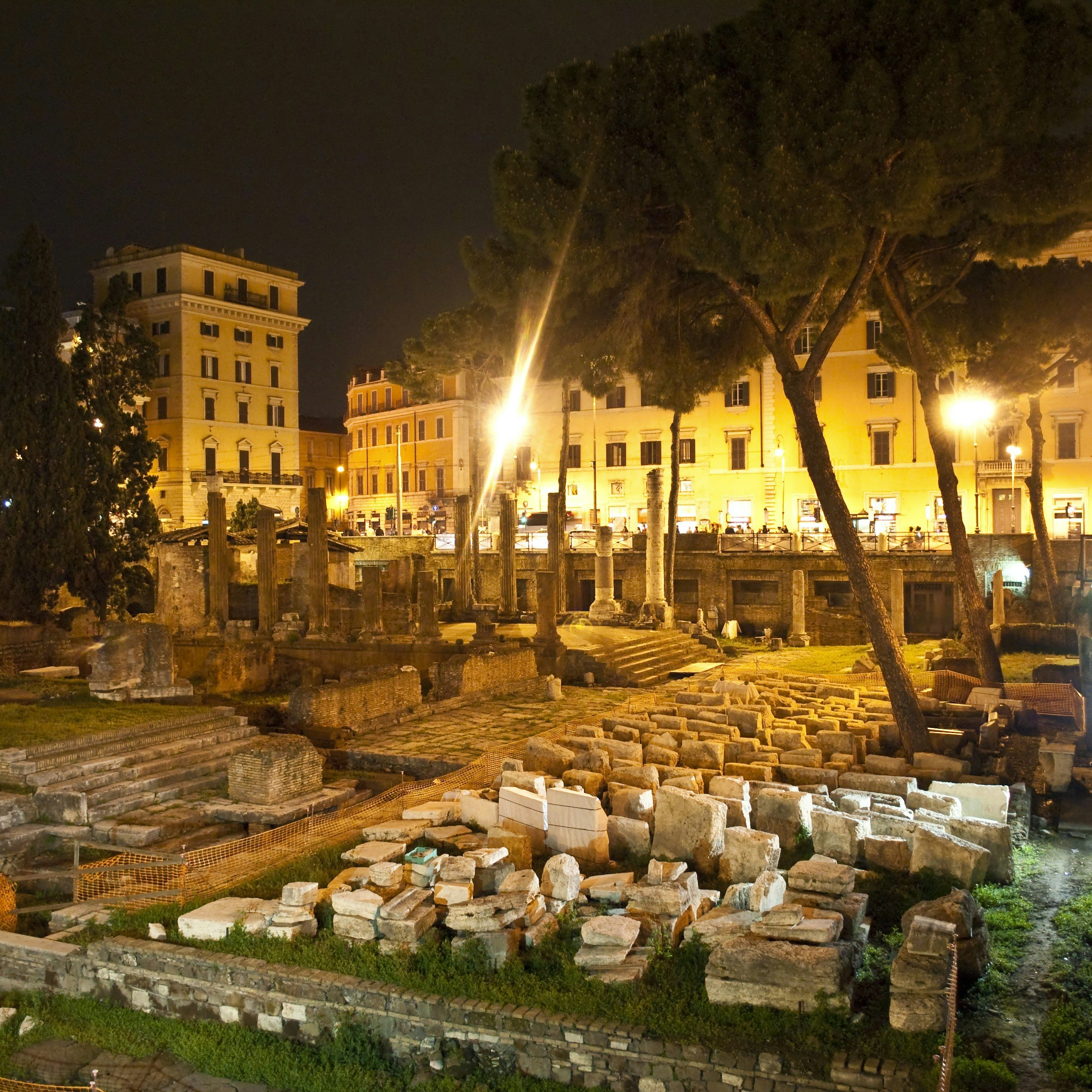 Area Sacra temple remains in Largo di Torre Argentina.