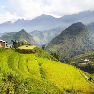 Overview of rice terraces and mountain terrain in Cat Cat village.