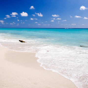 Mexico, Quintana Roo State, Riviera Maya, Cancun, Playa Delfines