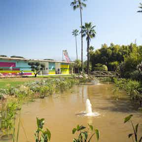 Ourika Valley travel Morocco Africa Lonely Planet