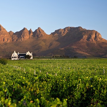 South Africa, Western Cape, near Stellenbosch, Longridge Wine Estate. Homestead and vineyards.