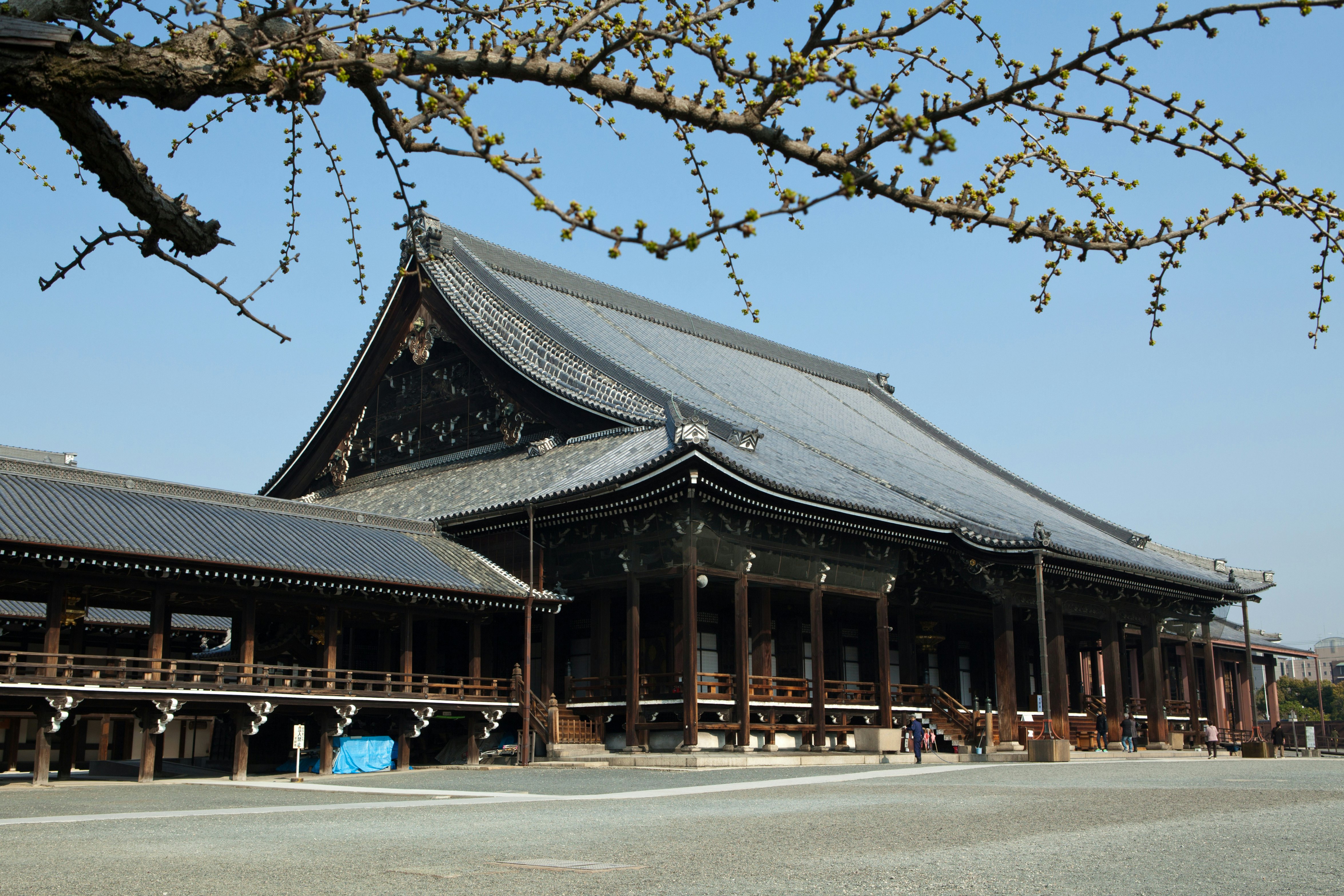KYOTO, JAPAN - 2012/04/09: Nishi Hongan-ji or the "Western Temple of the Original Vow" is one of two temple complexes of Jodo Shinshu Buddhism in Kyoto, the other being Higashi Honganji (or "The Eastern Temple of the Original Vow". Today it serves as the head temple of the Jodo Shinshu sect.  Nish Honganji is older than the Higashi Honganji and has more integral architecture. Together they are listed as Historic Monuments of Ancient Kyoto as also a UNESCO World Heritage Site.. (Photo by John S. Lander/LightRocket via Getty Images)