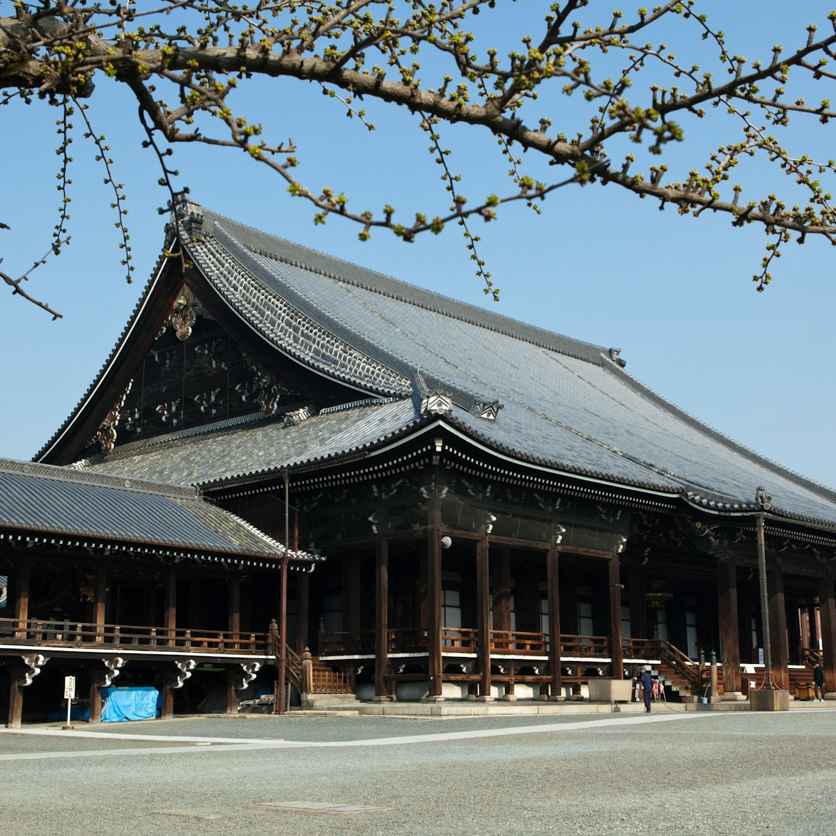 KYOTO, JAPAN - 2012/04/09: Nishi Hongan-ji or the "Western Temple of the Original Vow" is one of two temple complexes of Jodo Shinshu Buddhism in Kyoto, the other being Higashi Honganji (or "The Eastern Temple of the Original Vow". Today it serves as the head temple of the Jodo Shinshu sect. Nish Honganji is older than the Higashi Honganji and has more integral architecture. Together they are listed as Historic Monuments of Ancient Kyoto as also a UNESCO World Heritage Site.. (Photo by John S. Lander/LightRocket via Getty Images)