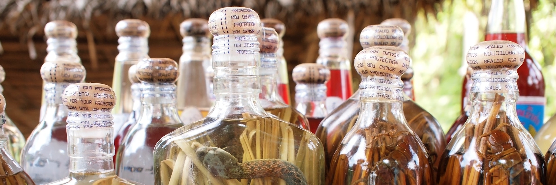 lao lao rice whiskey with snakes and centipedes