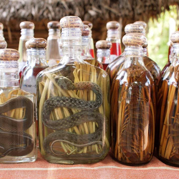 lao lao rice whiskey with snakes and centipedes