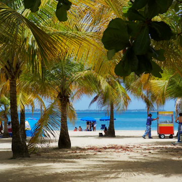 Palm trees on the beach, Luquillo Beach, Puerto Rico