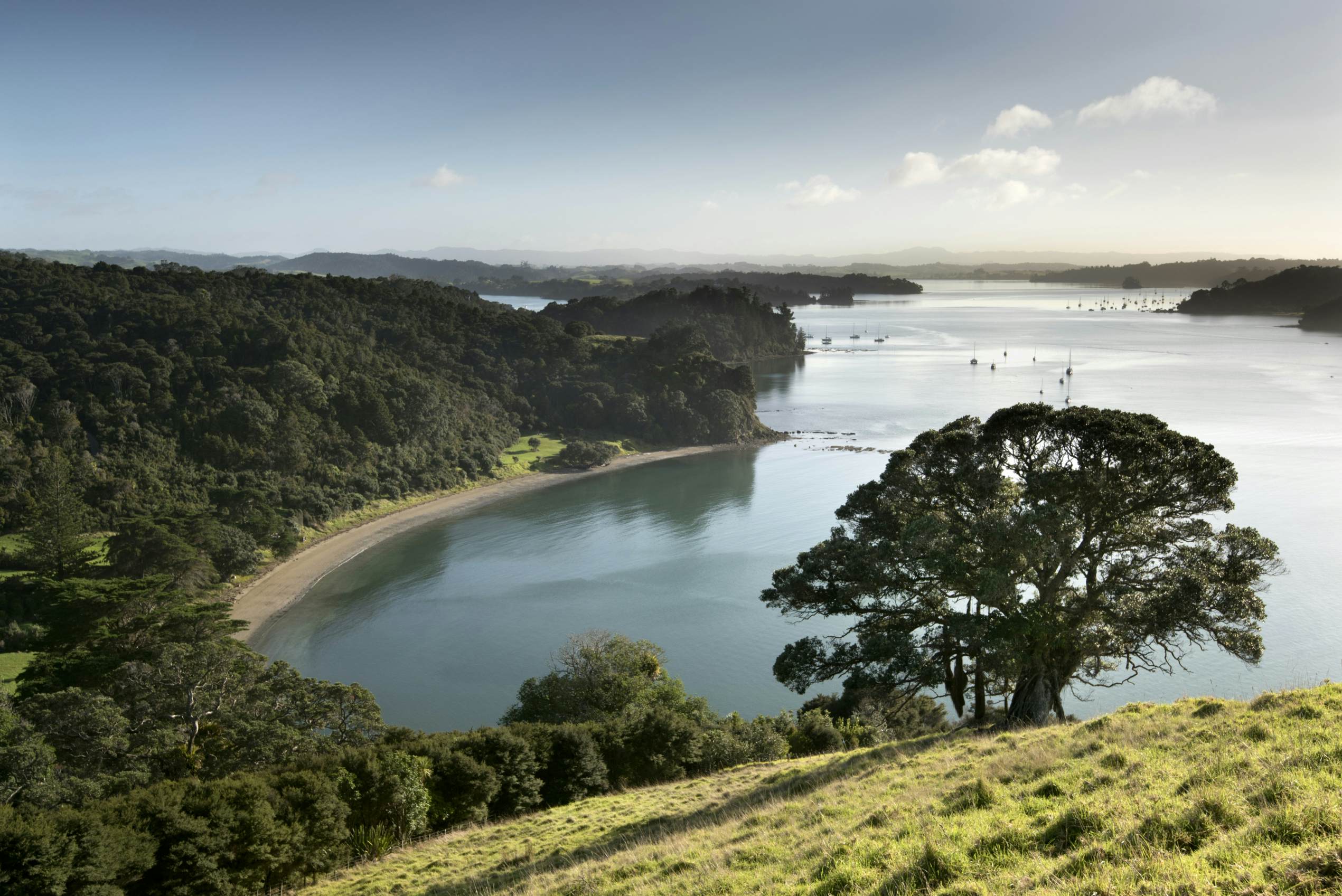 500px Photo ID: 158185301 - Mahurangi Regional Park