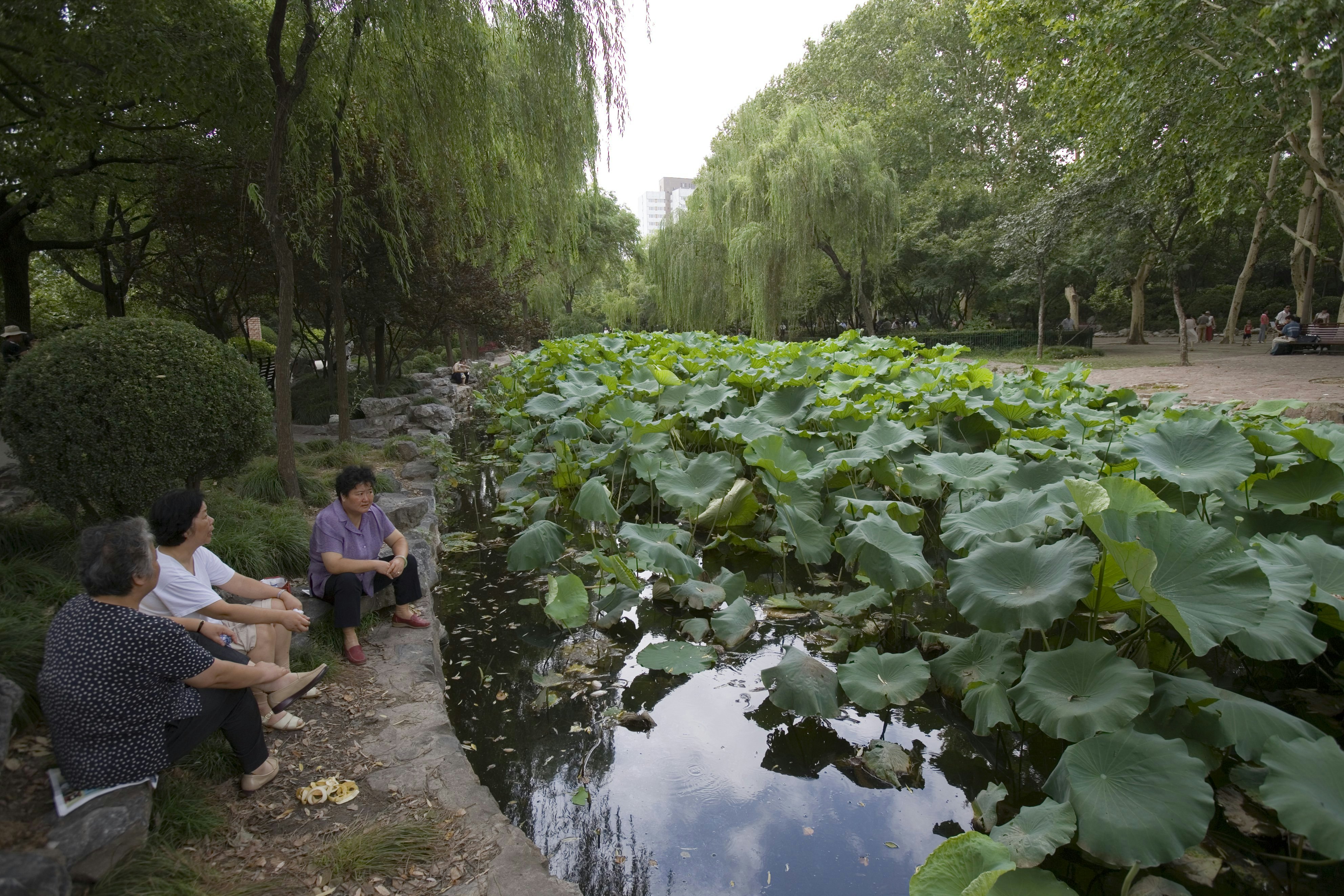 Relaxing beside Lotus pond, Lu Xun Park, Hongqiao.