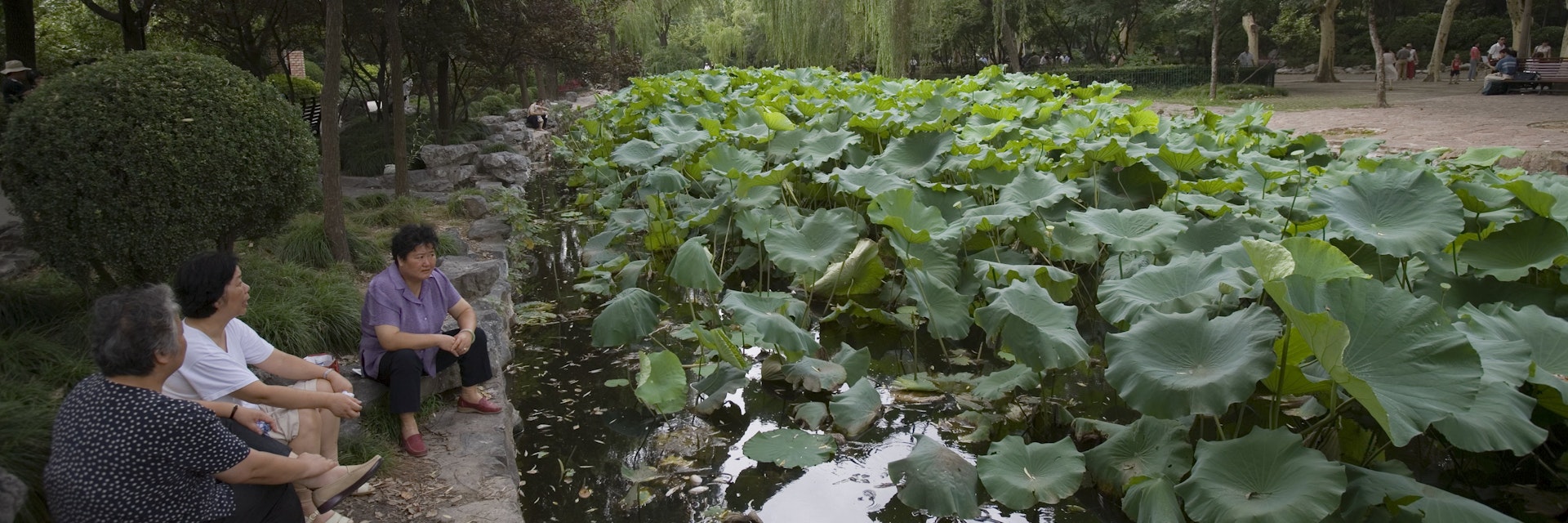 Relaxing beside Lotus pond, Lu Xun Park, Hongqiao.
